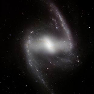 The galaxy NGC 1365